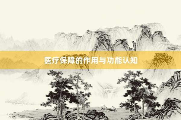 医疗保障的作用与功能认知