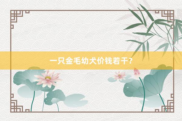 一只金毛幼犬价钱若干？