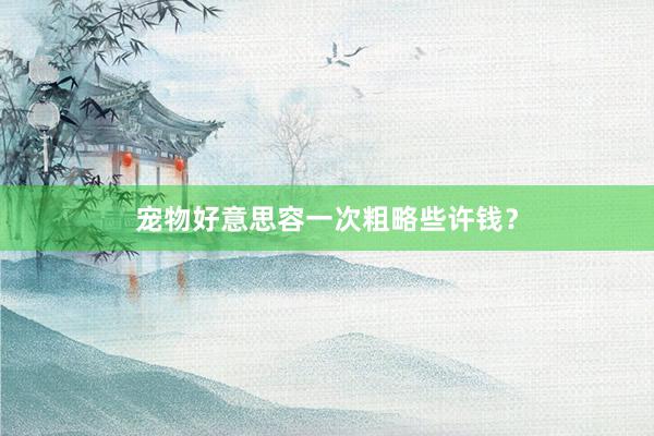 宠物好意思容一次粗略些许钱？